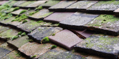 Southport roof repair costs